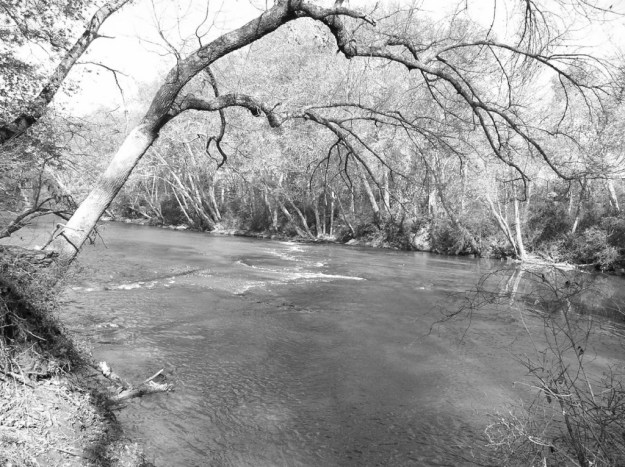 Buttahatchie River (2) (1024x766)